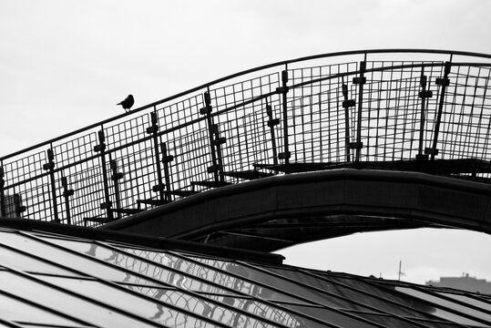 Black and white minimalist photograph of a single bird standing on a modern metal bridge. Geometric lines, architecture and solitude in the city.