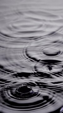 Vertical close up of rain drops falling into a puddle of water. Slow Motion.