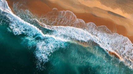 Top aerial view of golden sandy beach meeting deep blue ocean waves. Seaside vacation and travel concept.