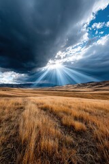 Dramatic lighting over golden grassland at midday near a mountain range