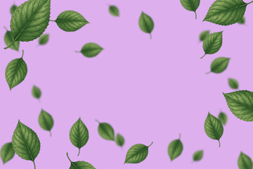 Falling leaves on lavender background