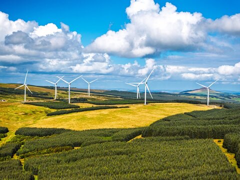 Wind Farm from a drone, Roxburghshire, Roxburgh, Southern Uplands, Scotland