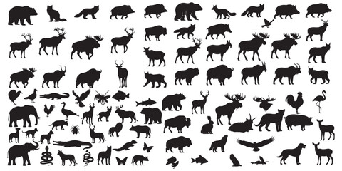 Diverse collection of wildlife animal silhouettes for design projects vector