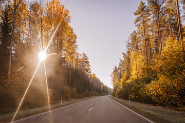 Winding road through a forest in autumn with golden foliage and bright morning sun shining through the trees, casting long sun rays on a clear day.