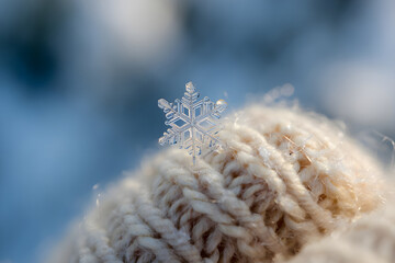Snowflake Macro Crystal Perfection