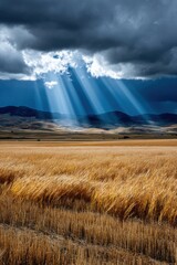 Fototapeta premium Stunning light rays breaking through dark clouds over golden fields in a rural landscape