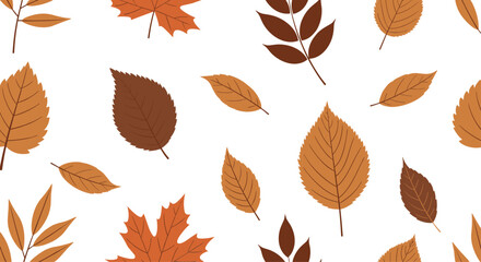 Fototapeta premium Autumn Leaves Pattern on White Background.