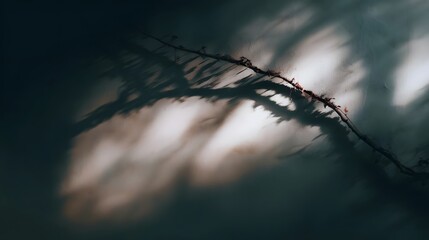 Abstract shadow patterns of tree branches create an organic moody visual on a textured wall with subtle hints of color