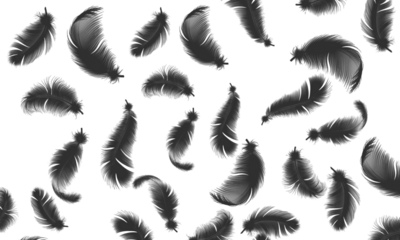 Elegant black feather seamless pattern on dark background for creative designs