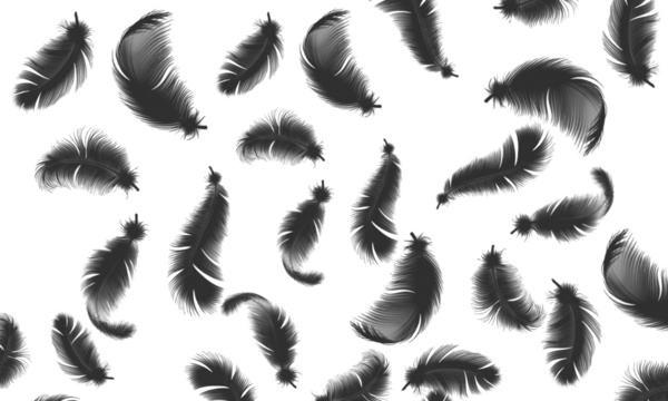 Elegant black feather seamless pattern on dark background for creative designs