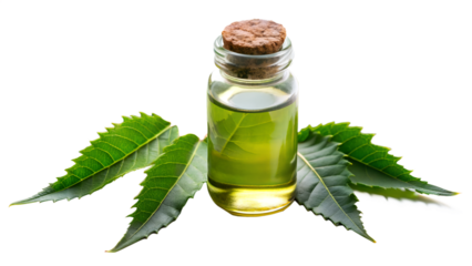 Neem oil in bottle with neem leaves isolated on transparent background, alternative medicine concept
