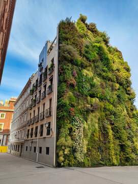 Caixa Forum, verrtical garden, Madrid, Spain
