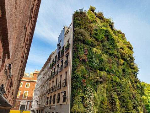 Caixa Forum, verrtical garden, Madrid, Spain