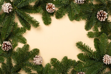 Christmas tree branches with cones on color background, top view