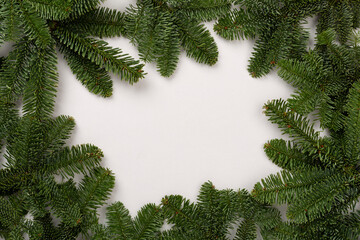 Christmas tree branches on color background, top view