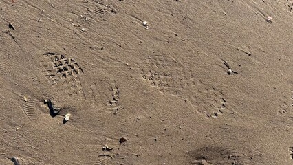 A pair of shoes footprints on wet sand surface. Sandy beach background in sunset light.