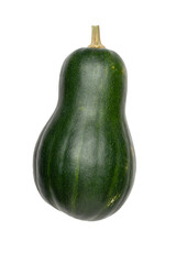 Green Butternut Squash on Transparent Background - Perfect for Fall Harvest and Culinary Creations