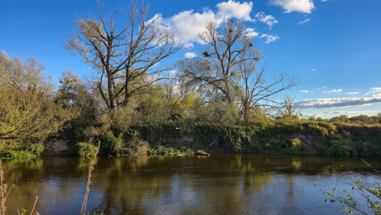 Obraz premium The Bug River near the town of Kryłów. Poland.