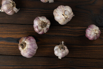 Fresh Purple Garlic Bulbs on Rustic Wooden Table for Culinary and Health Concepts