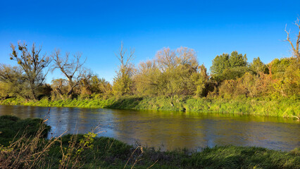 The Bug River near the town of Kryłów. Poland.