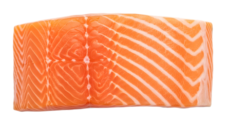 Fresh raw salmon fillet with visible fat marbling and skin isolated on transparent background