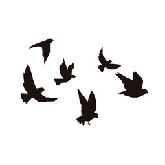 Bird vector. Describes vector art that is hand-drawn or more artistic in style. 