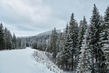 Scenic mountain view from a ski trail in winter.