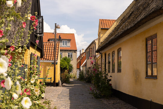 yellow A frame homes and small streets in charming dragor village copenhagen