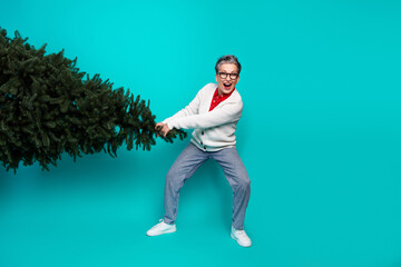 Cheerful elderly woman in cardigan holds a Christmas tree in a bright teal studio creating a...