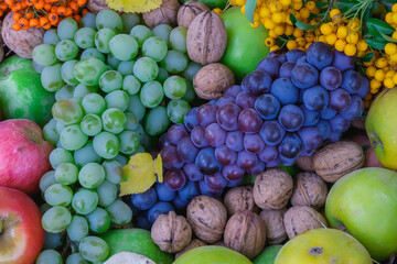 Colorful autumn harvest composition with grapes, apples, and walnuts symbolizing freshness and seasonal abundance