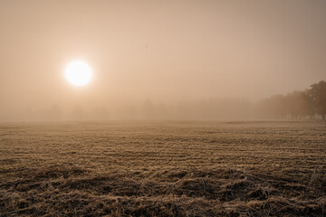 Foggy sunrise over a frosty field in rural Latvia. The sun glows through dense morning mist,...