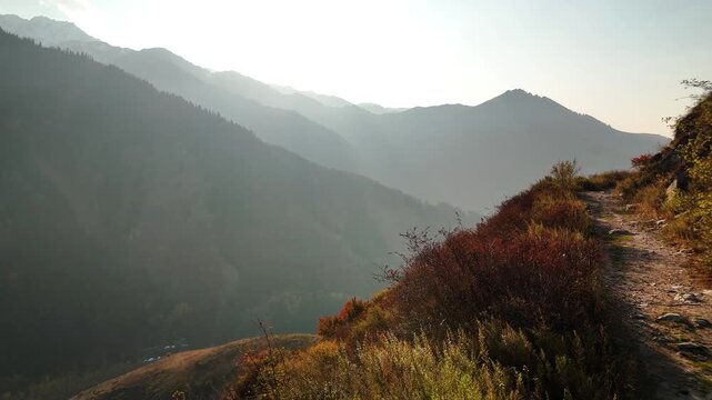 Aerial view panorama of yellow autumn forest in Almaty