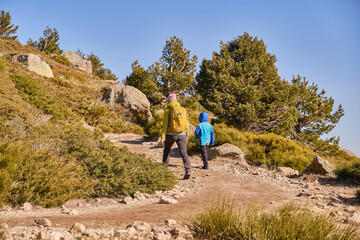 Rear view of a family walking through nature