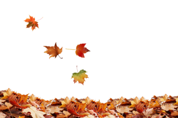 Stock photo of autumn leaves falling background seasonal foliage nature october november scene fall 100