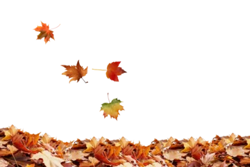 Selbstklebende Fototapeten Fallen Stock photo of autumn leaves falling background seasonal foliage nature october november scene fall 100  © zakir