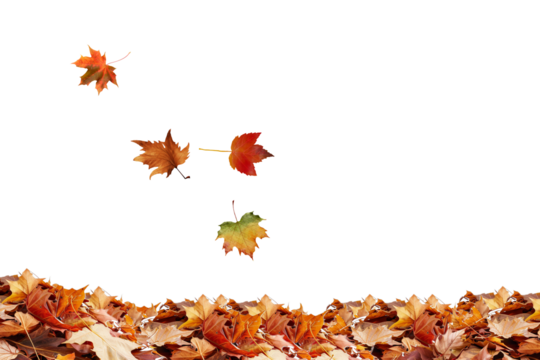 Stock photo of autumn leaves falling background seasonal foliage nature october november scene fall 100