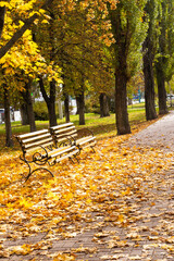 Fall scene with benches surrounded by colorful leaves in a park during autumn season