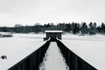 Naklejka premium bridge in winter