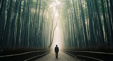 A lone figure walks down a path surrounded by towering bamboo trees, bathed in a mystical light, creating a serene and contemplative atmosphere.