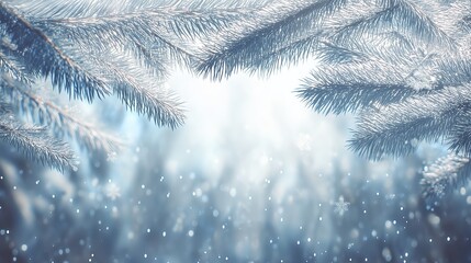 Frosted Pine Branches with Snow Falling in Winter Light