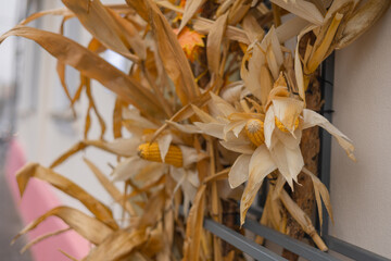 corn on a wooden table