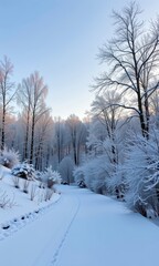 Obraz premium Serene winter scene: snow softly falls on a landscape of bare, snow-dusted trees, february, white