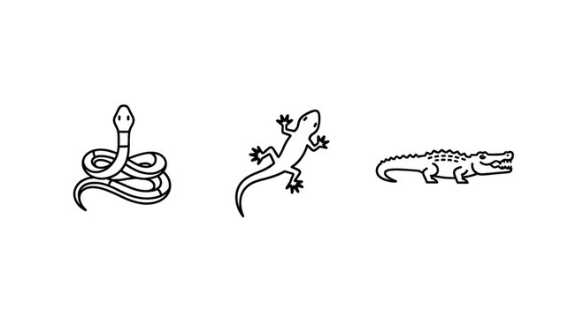 Simple line art icons of a coiled snake, a lizard, and an alligator against a white background.