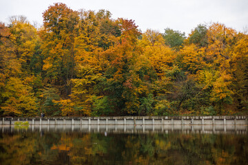 autumn colors in the park