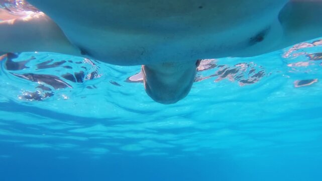 Underwater view of sport man swimming breaststroke style showing vibrant blue tones and the dynamic energy in slow motion