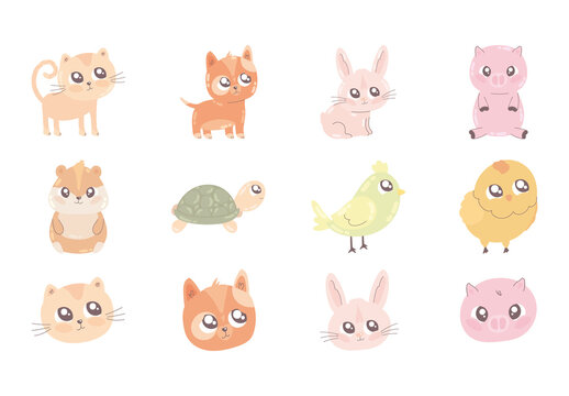 Colorful Cute Animals Cartoon Illustrations Set