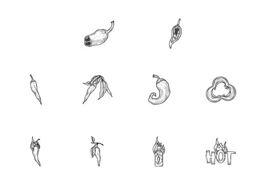 Black Spicy Chili Hot Pepper Engraved Food Illustrations Set