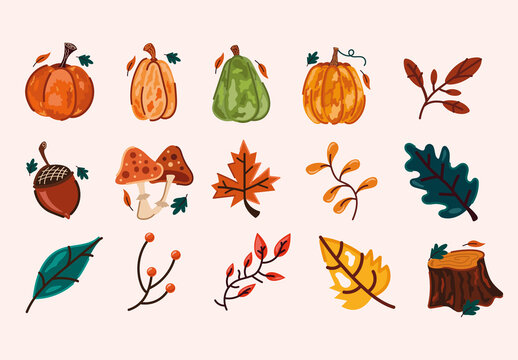Colorful Autumn Leaf Nature Illustrations Set