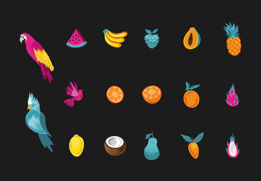 Colorful Exotic Tropical Fruits And Birds Illustrations Set