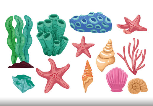 Marine Sea Illustration Set